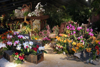 Vue de stand lors de Florissimo 2005  crdit photo : Maud Grandjean / Ville de Dijon